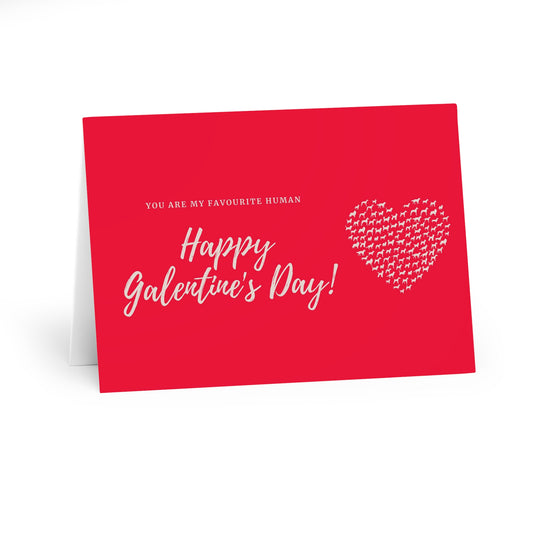 Galentine day Greeting Cards (5 Pack)